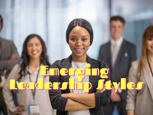 Emerging Leadership 1920 x 1080 (520 × 390 px)